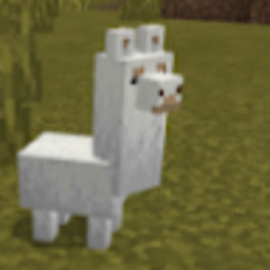 Meet your Posher, Xavier